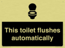 this-toilet-flushes-automatically~